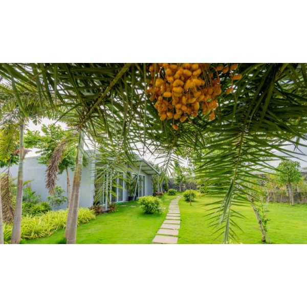 The Forest Club Resort